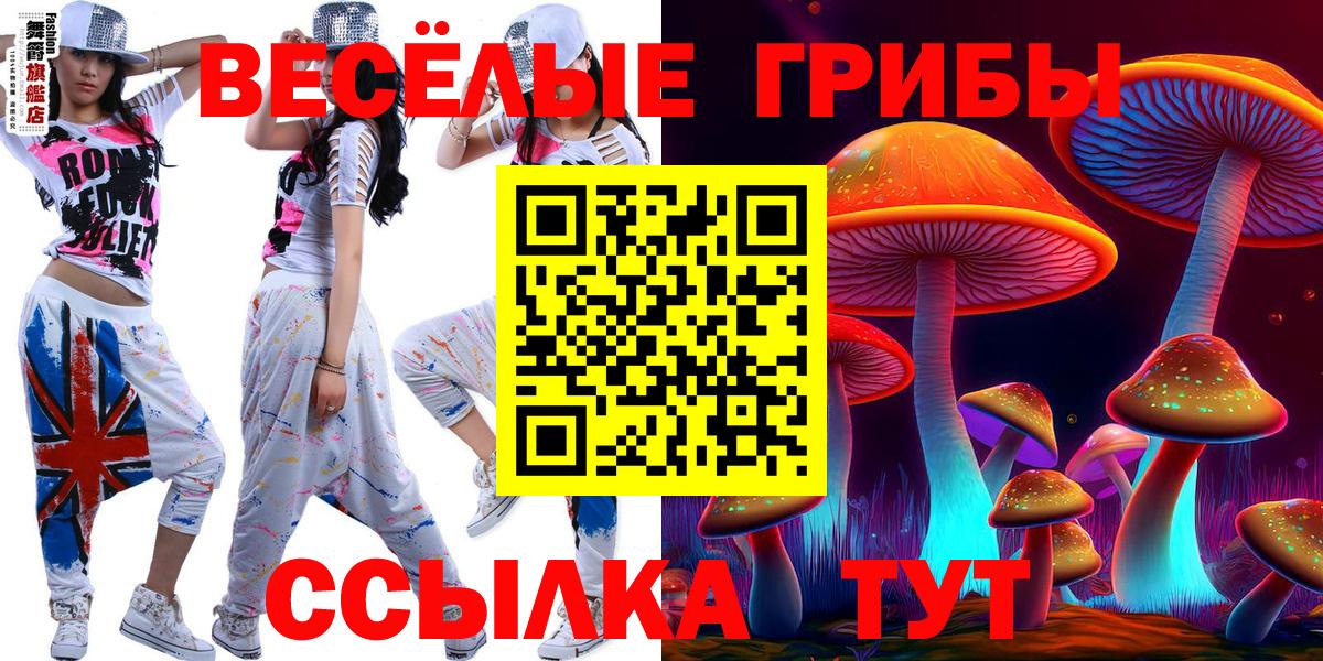 Ртищево  Галлюциногенные грибы GOLDEN TEACHER  Псилоцибиновые грибы Psilocybine cubensis  Вход с VPN 