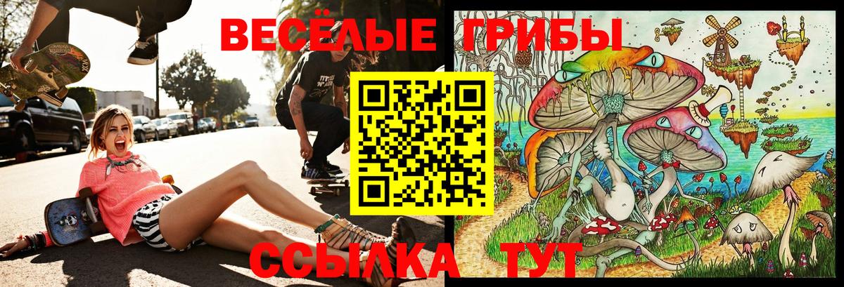 Псилоцибиновые грибы прущие грибы Ртищево